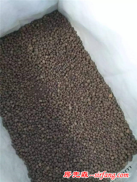 變廢為寶--木箱變花箱，種上天竺葵好美