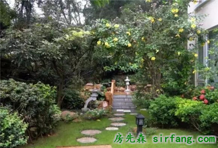 我在农村有个院子
