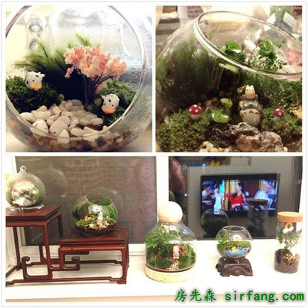 入住照北歐風(fēng)格小戶型，自主設(shè)計(jì)施工