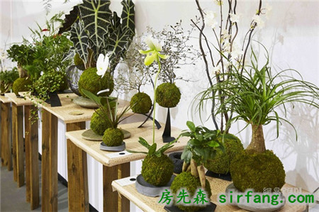亮點提前看 | M&O3大展區(qū)，如何讓你高潮迭起？