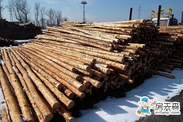 进口木材种类有哪些