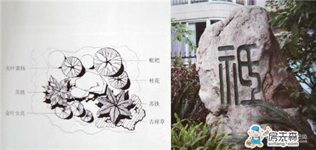 园林植物配置三大原则 园林植物配置平面图与实景