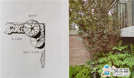 园林植物配置三大原则 园林植物配置平面图与实景