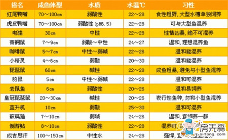 常见观赏鱼鲶鱼种类 鲶鱼养殖注意事项