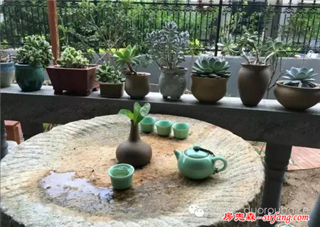 喝茶，赏花，看肉，发呆，惬意的花园小生活