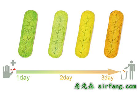 创可贴何时更换？树叶知道答案