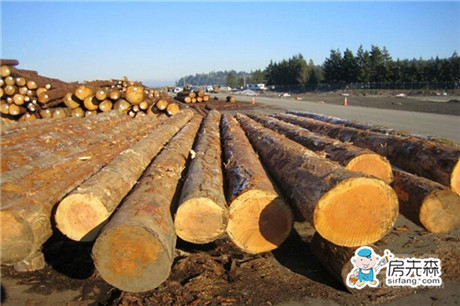 【进口木材知识】世界各地进口木材品种