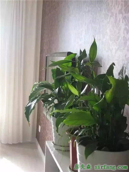 装修小白的第一次装修 12万装出这个效果 划算吗