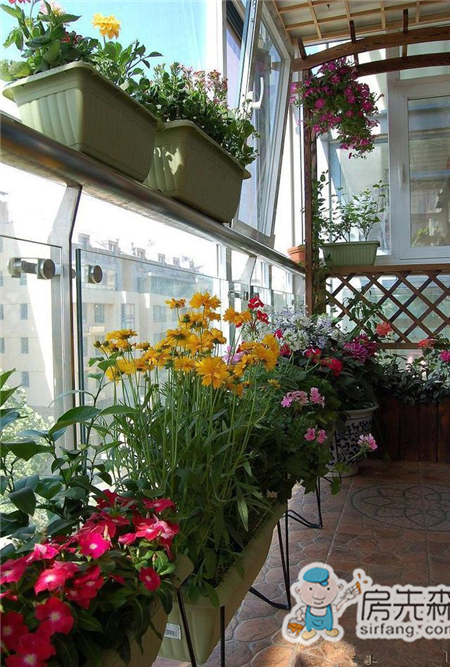 这么漂亮的阳台花架，谁不想要一个！ 