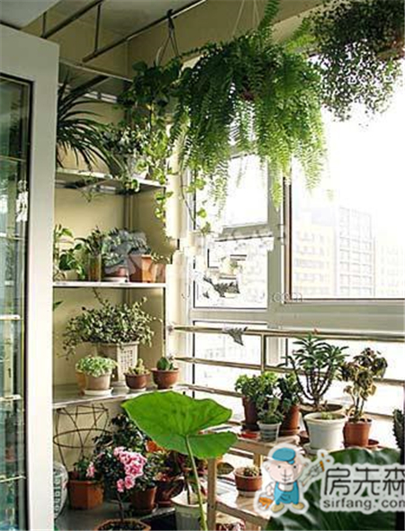 这么漂亮的阳台花架，谁不想要一个！ 