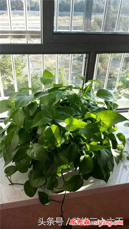 自己找的裝修工人才花5萬(wàn)，裝修真的是一件累并幸福的事