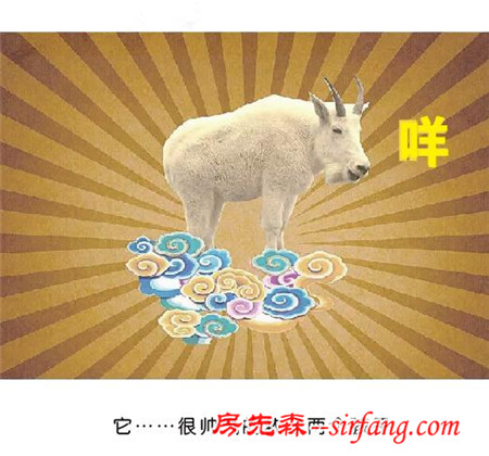 白羊座的那些小秘密