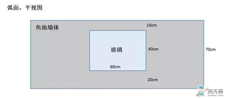 网友竟然在自家阳台上改建鱼池，效果真拉风！ 