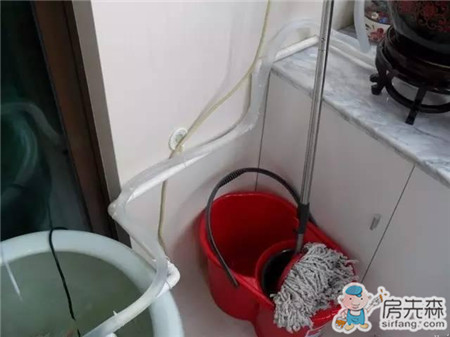 自家阳台养鱼，风生水起，财源滚滚！
