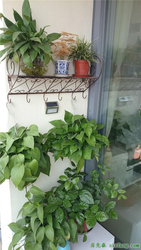 期待了那么久終于裝修好了自己的小窩 一進(jìn)門滿滿的成就感
