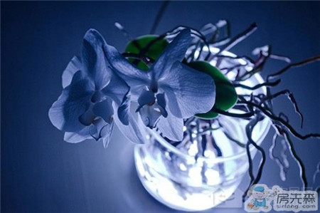 科技改变生活　纳米技术与纳米植物照明的完美融合　
