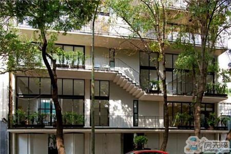 墨西哥现代风格住宅 窗外的行道树是亮点