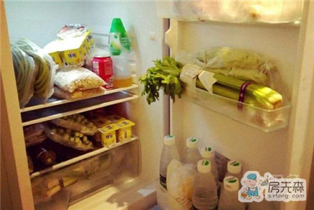 海尔实力科普：热饭菜放冰箱更利于身体健康