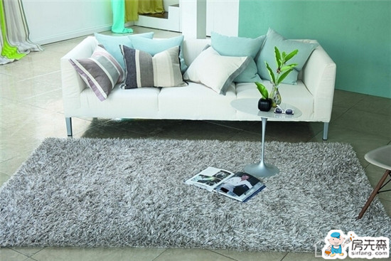 家用地毯清洁方法 专业地毯清洗技巧