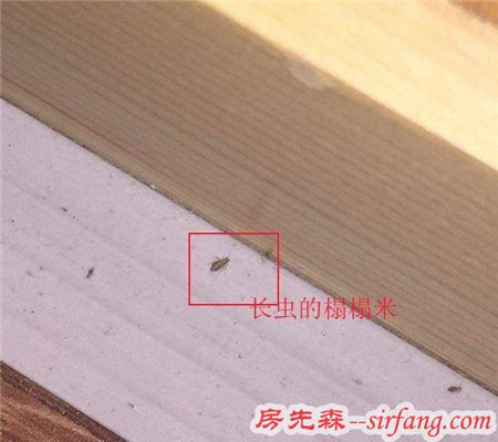 過(guò)來(lái)人的慘痛教訓(xùn)！萬(wàn)萬(wàn)別把榻榻米當(dāng)床睡，不然鐵定后悔死！